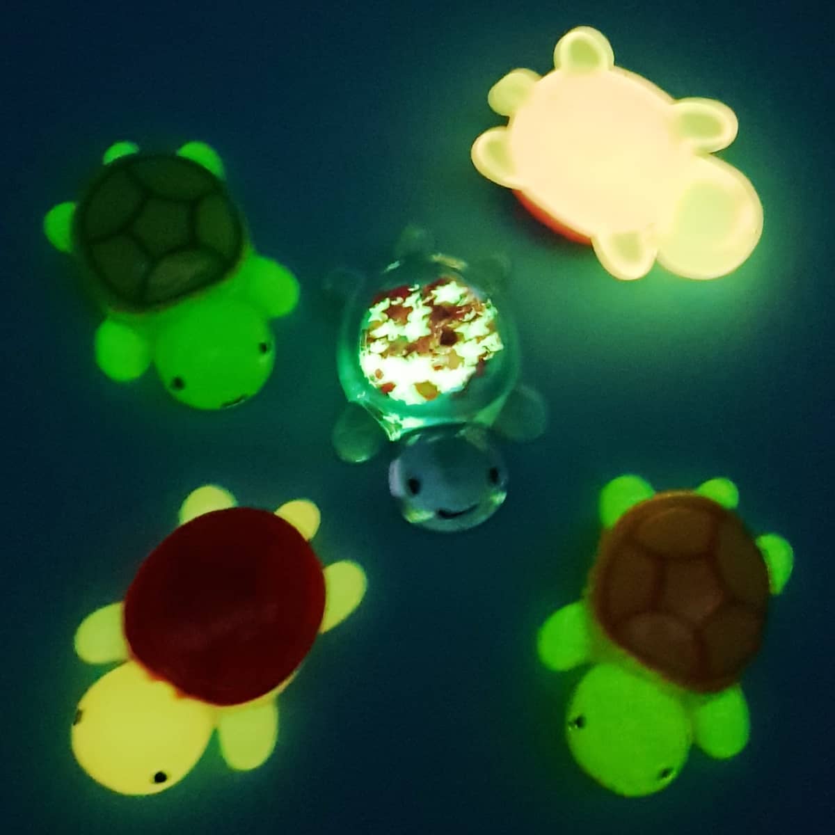 Glücksbringer Schildkröten fluoreszierend